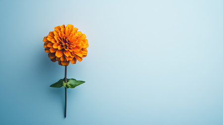 A bright orange flower stands out against a soft blue background, creating a vibrant and fresh aesthetic. Perfect for nature themes and modern designs.の素材