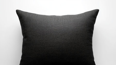 A striking black decorative pillow offers a touch of elegance and comfort, ideal for enhancing modern interiors and providing stylish accents for any living area.の素材