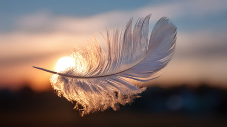 A delicate white feather floats gracefully in the soft light of a sunset, creating a serene moment against a colorful and tranquil natural background.の素材