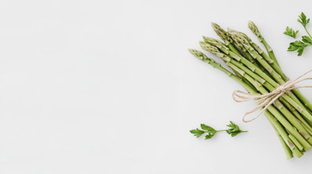 A beautiful bundle of fresh green asparagus tied with twine on a light background, perfect for showcasing healthy cooking ingredients and natural food aesthetics.の素材