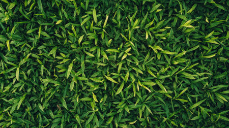 Explore this vibrant grass texture featuring lush green leaves in a natural setting, perfect for backgrounds, nature themes, and organic designs.の素材