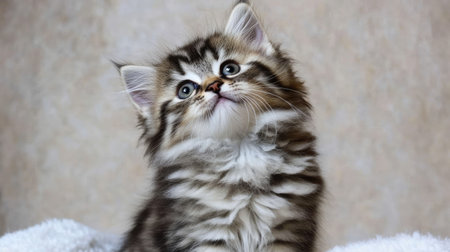 This captivating image features an adorable kitten with striking stripes, bright eyes, and an innocent expression. Perfect for animal lovers!の素材