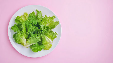 Fresh green lettuce leaves arranged on a white plate, set against a soft pink background. Perfect for food styling, healthy recipes, and vibrant presentations.の素材
