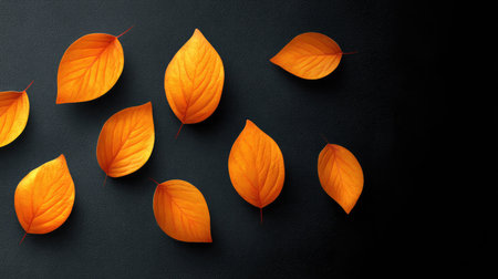 Orange autumn leaves scattered around a blank black surface for designの素材