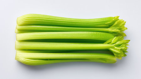 Top view of fresh celery sticks laid out neatly on a white background with clean empty spaceの素材