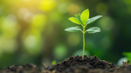 A young seedling rises from the soil, surrounded by blurred greenery, showcasing the essence of growth and vitality in a thriving ecosystem. Perfect for nature-themed projects.の素材