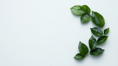 A serene arrangement of vibrant green leaves on a soft light background creates a calming atmosphere ideal for wellness, nature, and organic themes in various projects.の素材