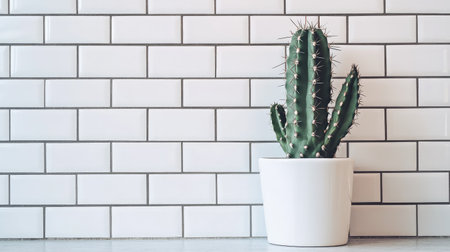 Decorative cactus in white pot on bathroom counter with tiled wall and clean copy spaceの素材
