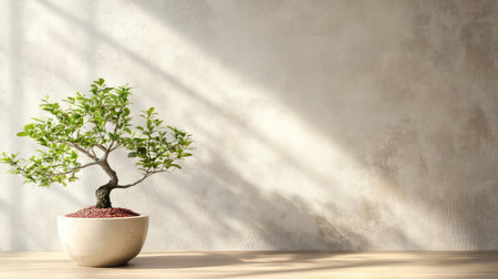Zen style room with bonsai plant and clean wall, soothing tones and spacious copy areaの素材