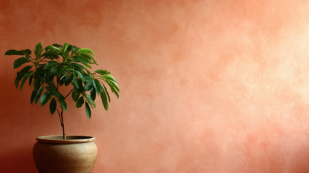 This image features a lush indoor plant in a decorative pot set against a warm, textured orange wall, perfect for creating a serene ambiance in any living space.の素材