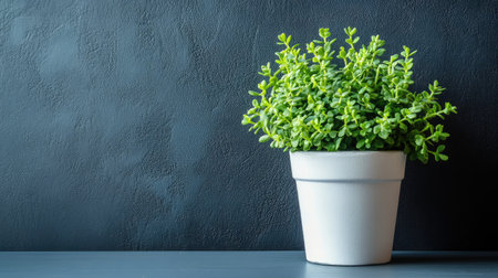 Decorative small plant on coffee table with copy space on background wall, cozy and modern feelの素材
