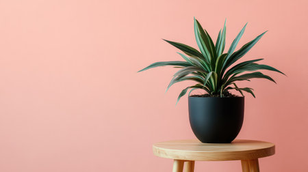 Potted plant on wooden stool with minimalistic wall, warm tones and large copy areaの素材