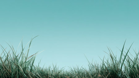 Captivating view of lush green grass growing beneath a tranquil turquoise sky, representing peacefulness and serenity, perfect for nature-themed projects and backgrounds.の素材