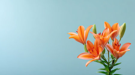 A stunning bouquet of orange lilies elegantly arranged, offering a fresh and vibrant addition to any space. The soft blue background enhances the floral beauty.の素材