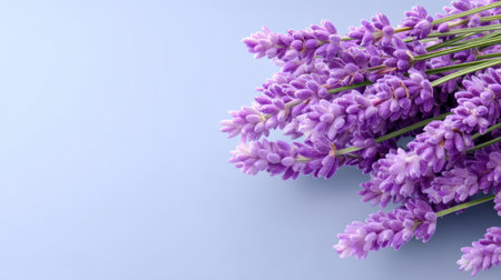 A beautiful arrangement of fresh lavender flowers on a soft blue background, perfect for home decor, relaxation, and floral inspiration.の素材