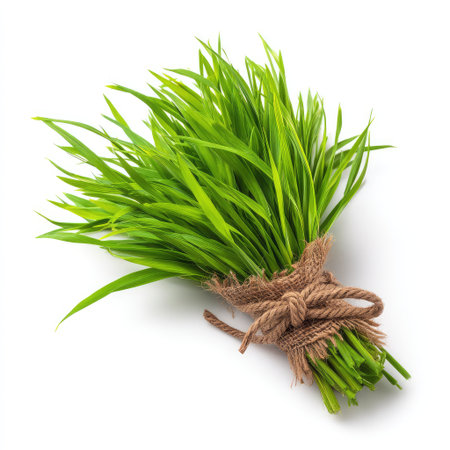 A vibrant bundle of fresh green grass tied with natural twine, perfect for showcasing the beauty of nature and promoting eco-friendly projects or organic themes.の素材