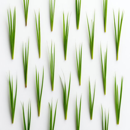 An artistic display of fresh green grass blades arranged in a symmetrical pattern against a clean white backdrop, ideal for nature-inspired design and eco-friendly themes.の素材