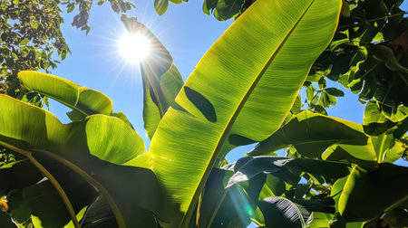 Bright green leaves glowing under sunlight with blue sky background, fresh and vibrant energy with spaceの素材