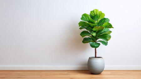A vibrant green indoor plant in a sleek gray pot adds a touch of nature to any minimalist space, creating a relaxing and refreshing atmosphere for home or office settings.の素材