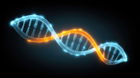 This vibrant image illustrates a DNA double helix with glowing blue and orange elements, set against a dark background. It represents concepts in genetics and molecular biology.の素材