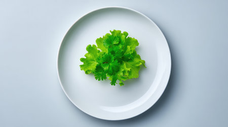 A vibrant and fresh arrangement of green lettuce leaves placed artistically on a white plate, symbolizing healthy eating and culinary simplicity, perfect for food photography needs.の素材