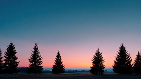 This stunning image showcases tall pine trees silhouetted against a colorful sky during sunrise, showcasing vibrant hues of blue and orange for a tranquil atmosphere.の素材