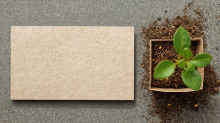 A blank kraft card lies on a gray surface beside a small pot containing a vibrant green sprout nestled in rich soil, perfect for eco-friendly marketing projects.の素材