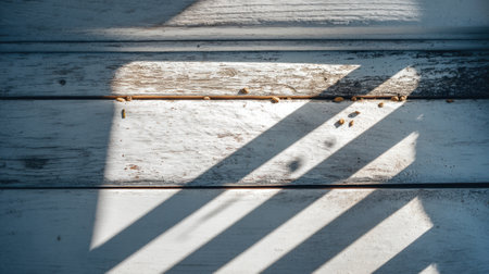 Gentle sunlight illuminates weathered wooden planks, creating an interplay of light and shadow with subtle debris. Ideal for artistic and nature themes.の素材