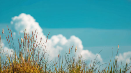 This serene image captures a grassy field swaying gently under a clear blue sky dotted with fluffy white clouds, embodying the essence of tranquility and natural beauty.の素材