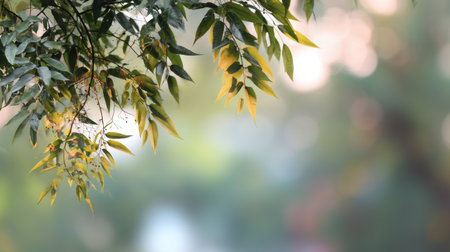 Captivating image of lush green foliage featuring delicate leaves against a softly blurred background, evoking a sense of tranquility and natural beauty.の素材
