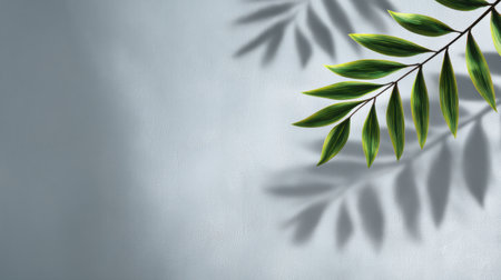 A beautiful green leaf branch resting against a soft gray background, with gentle shadows, creating a calm and serene atmosphere perfect for decoration and design.の素材