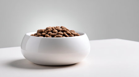 A stylish white bowl filled with dry pet food sits on a clean surface, illuminated by soft light, showcasing the importance of nutrition in a pet's daily life.の素材