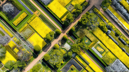 Stunning aerial view showcasing perfectly arranged garden pathways adorned with bright yellow flowers, creating a vibrant and serene outdoor landscape filled with natural beauty.の素材