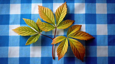 A striking arrangement of autumn leaves showcasing vibrant colors rests on a blue and white gingham tablecloth, perfect for seasonal decoration and nature-inspired themes.の素材