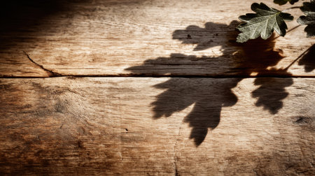 This image showcases the soft shadows of a leaf cast on a rustic wooden surface, creating a serene and warm atmosphere perfect for nature-inspired decor.の素材