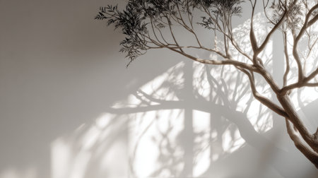 A captivating shadow of a tree gracefully extends across a soft wall, creating an artistic atmosphere that enhances minimalistic interior design and adds tranquility.の素材