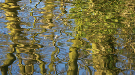 Discover the stunning beauty of nature with vibrant reflections of trees dancing on a calm water surface, creating a tranquil and peaceful atmosphere.の素材
