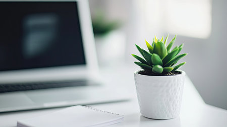 A tidy home office workspace with a laptop, notebooks, and a small succulent plant, offering space for messaging about home office setups.の素材