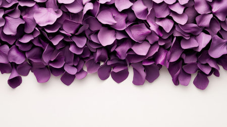 A close-up of sliced red cabbage with detailed texture, placed on a white background.の素材
