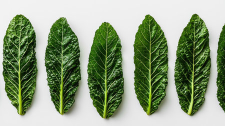 A group of fresh, vibrant kale leaves, isolated on white to showcase their winter vegetable appeal with a healthy vibeの素材