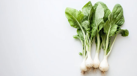 A bunch of Japanese napa cabbage hakusai with white and green leaves, isolated on a clean white background, highlighting its healthy appeal for winter soupsの素材