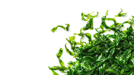 Close-up of fresh green seaweed strands against a white backdrop, showcasing their organic, fresh ocean qualityの素材