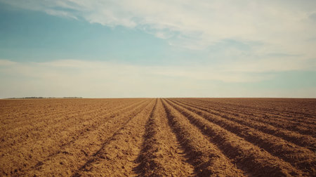 A freshly plowed field with rich brown soil and deep furrows stretching towards the horizon under a soft blue sky.の素材