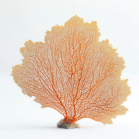 A bright orange fan coral with delicate, intricate branching patterns, fully isolated on a white background for a stunning marine life visual.の素材