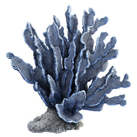 A detailed blue ridge coral fragment with deep textures, isolated on a crisp white background for marine science concepts.の素材