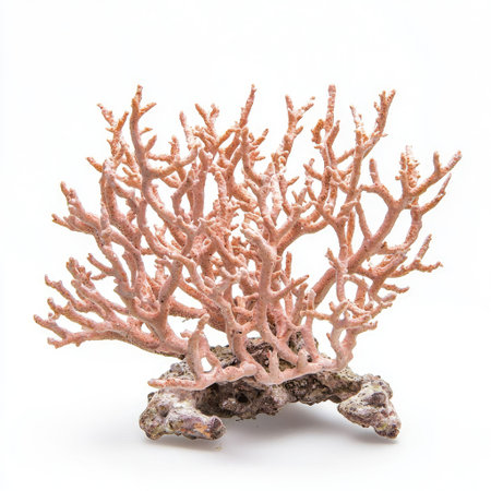 A striking pink birdsnest coral with intricate, delicate branches, isolated on white, showcasing marine diversity.の素材