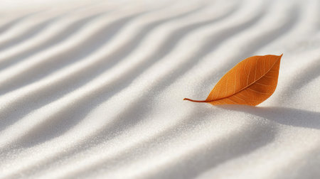 Minimalistic close-up of white sand and a single leaf, surrounded by soft, flowing raked patterns.の素材
