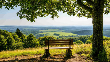 A wooden bench nestled under a tree on a peaceful hilltop, offering a view of a quiet valley and rolling green fields.の素材