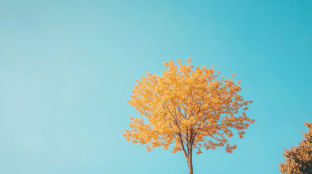 A tree with golden leaves standing against a bright blue sky, symbolizing financial growth.の素材