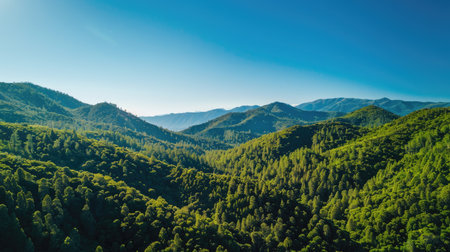 Spectacular aerial shot of lush green mountain forests under a clear blue sky, taken by a droneの素材